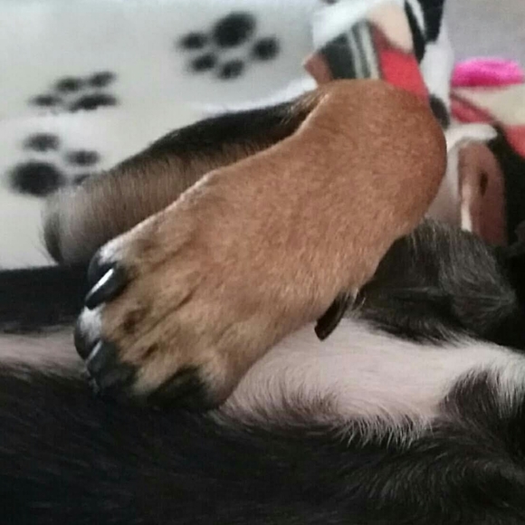 Meet your Posher, Judy - Picture 10 of 12